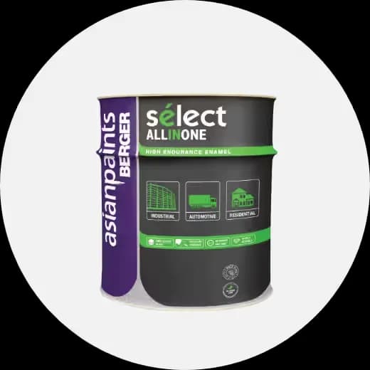 Paint & Paint Accessories